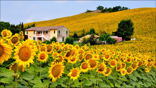 905239 (a): :2880x1620